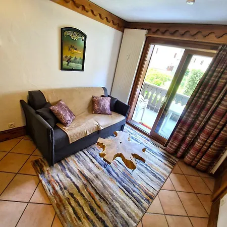 Apartment La Ginabelle Vue Montblanc 4 Personnes Chamonix